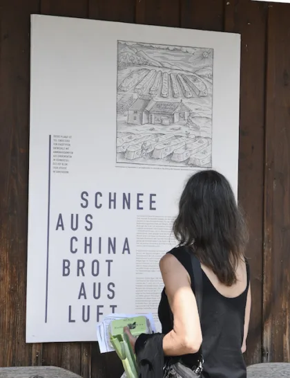 Gift Wllimann Arai 3