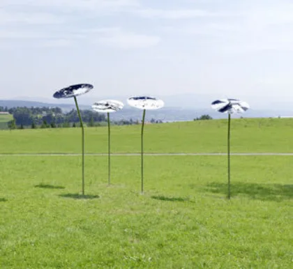 Frohussicht kartscher